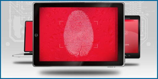 Fingerprint Background Checks