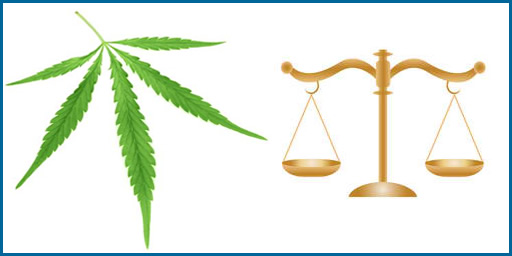 New Marijuana Laws